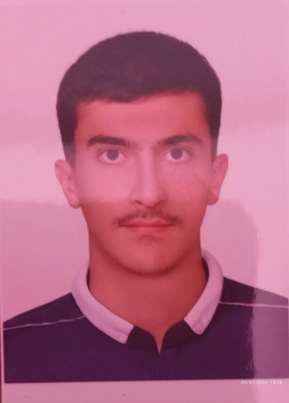 سید مصطفی میرمحمد